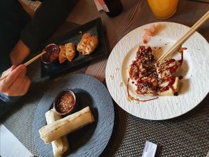 Summer rolls, Gyoza, Tofu at Phở Hà Nội in Linz