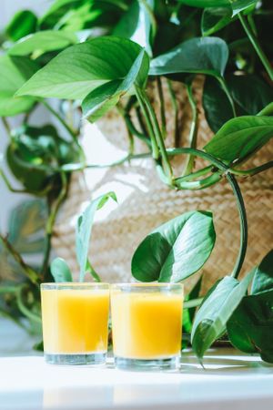 THE OG JAMU
fresh, cold-pressed ginger, turmeric, and pineapple, tamarind, maple syrup, black pepper, and filtered water at Plant Lyfe in Toronto