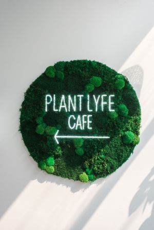  at Plant Lyfe in Toronto