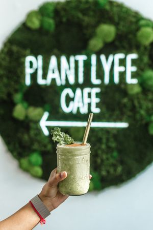  at Plant Lyfe in Toronto