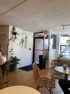 Indoor seating area and plants  at Drift Cafe in Newport