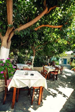 Our beautiful garden at Taverna Garden  in Crete