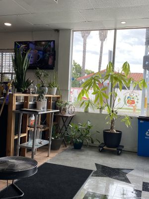   at Vegan Castle in Long Beach