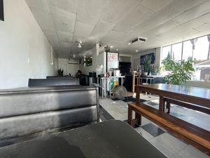 Interior  at Vegan Castle in Long Beach