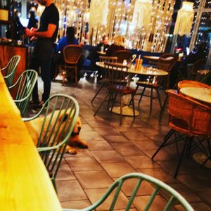 We behaved pooches welcomed at Megan's on the High Street in West London