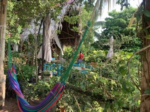 Well loved tropical plants on terrace    at Maracuyá in Flores