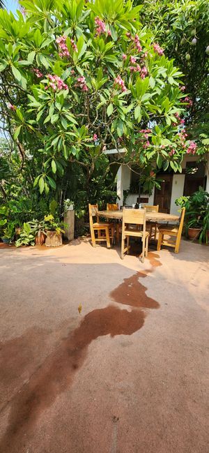 Sur la terrasse il y a une petite dizaine de table at Maracuyá in Flores