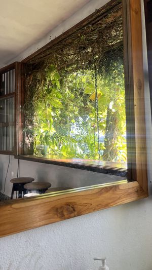 Vibe  at Maracuyá in Flores