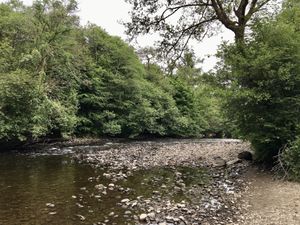 Queen Elizabeth Forest at The Broch Cafe in Strathyre