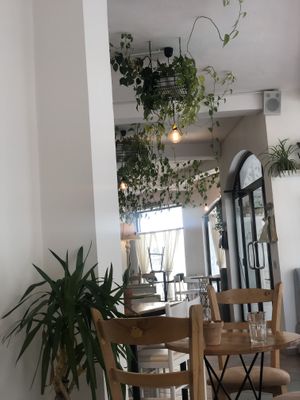 More interior  at Stolia in Shkoder