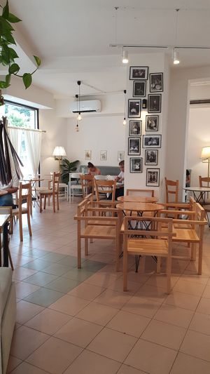  at Stolia in Shkoder