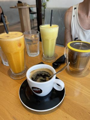   at Stolia in Shkoder