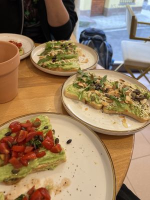   at Stolia in Shkoder