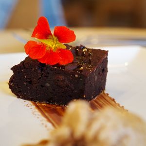 Brownie at Hendersons in Edinburgh