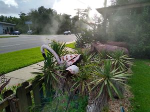 Outside at Mi Mamacita's in Mandeville