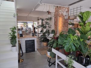 interior at Basiel Urban Greenhouse in Bruges