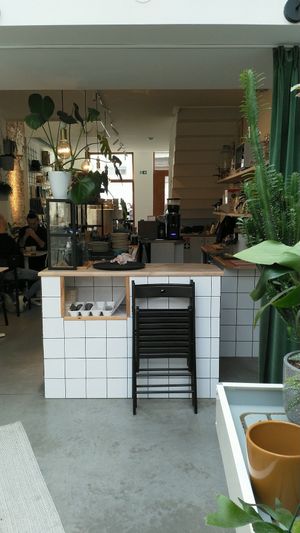 A view of the cafe from the back at Basiel Urban Greenhouse in Bruges