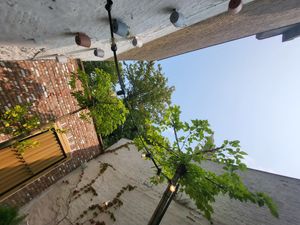  at Basiel Urban Greenhouse in Bruges