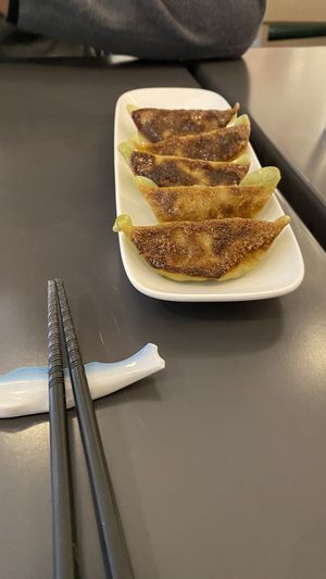 Gyoza #Veganuary at Mecha Uma in Avignon