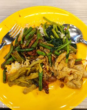 Mixed vege rice at Makan Vegan 斋这里 - Toa Payoh in Central Singapore