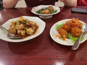 Different mock meats  at Baien in Nagoya