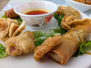 Appetizer sampler at Loving Hut in Elk Grove