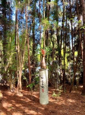  at Cafe Ono in Volcano