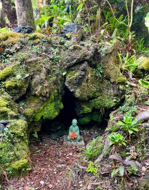  at Cafe Ono in Volcano