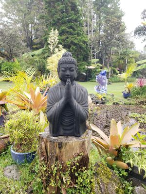 Outside area near seating at Cafe Ono in Volcano