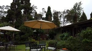 Outside area near seating at Cafe Ono in Volcano