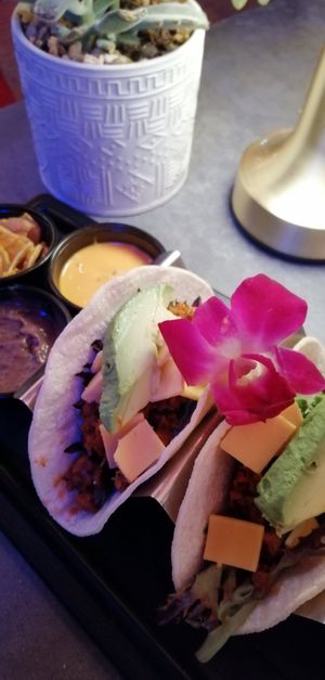  at The Locust in Miami Beach