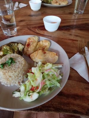Daily Menu: Carimañolas, brocoli with pea puree and toasted almonds, garlic rice and a salad  at Gracias Vida in La Guajira