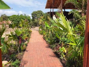 Location, Palomino, Vegetarian food, Vegan food, healthy food, smoothies, coffee, Ubicación, Palomino, comida vegetariana, comida vegana, comida saludable, batidos, café at Gracias Vida in La Guajira