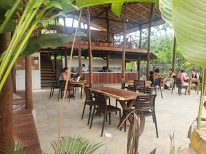 Cafe, coffee, vegetarian, vegan, healthy food, desserts, gluten free, Palomino, smoothies, Café, café, vegetariano, vegano, comida sana, postres, sin gluten, palomino, batidos at Gracias Vida in La Guajira