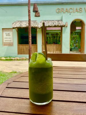   at Gracias Vida in La Guajira