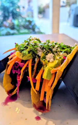  at Gracias Vida in La Guajira