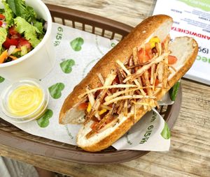 Notdog at 6|15 VH in Villahermosa