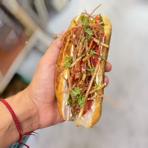 Not dog at 6|15 VH in Villahermosa