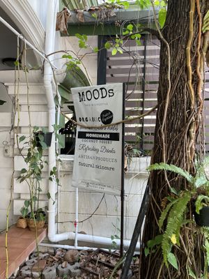   at MOODs  in Chiang Mai