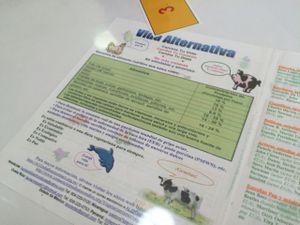 - at Loving Hut in Panama City