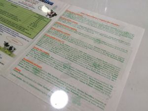 menu  at Loving Hut in Panama City