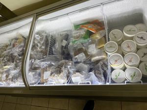   at Loving Hut in Panama City