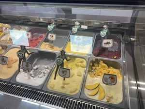 5 vegan flavors   at Sereny Ice Cream in Pula