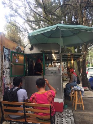 View arriving from metrobús Sonora at Los Veganos de Canasta in Mexico City