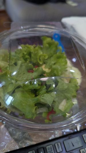  at Go Vegan Cafe in Batumi