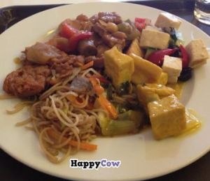 Items on the hot food bar for the day: Coconut tofu in bottom right, lo mein bottom left, fried seitan on the left, kung pao tofu top middle, tofu and vegetable salad on the top right. at Loving Hut - Vinohrady in Prague