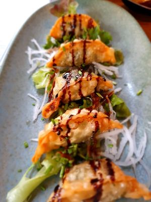 Gyoza at Nori in Potsdam