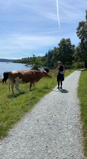   at Joey's Cafe in Ambleside