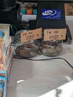  at Joey's Cafe in Ambleside