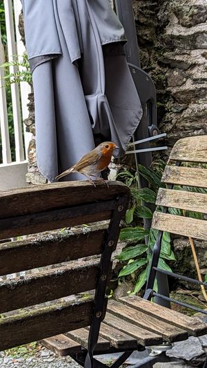  at Joey's Cafe in Ambleside